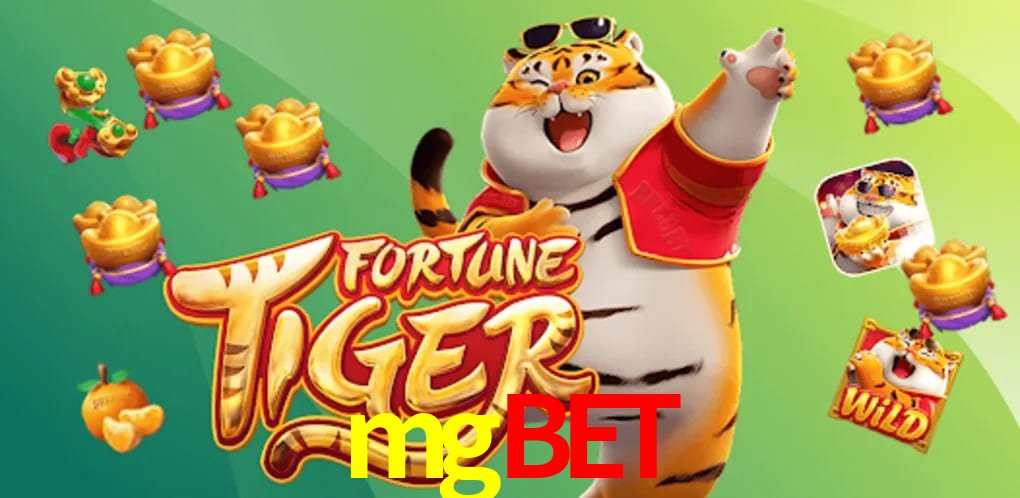 Experiência VIP mgbet